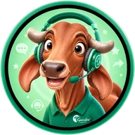 WhatsApp Support