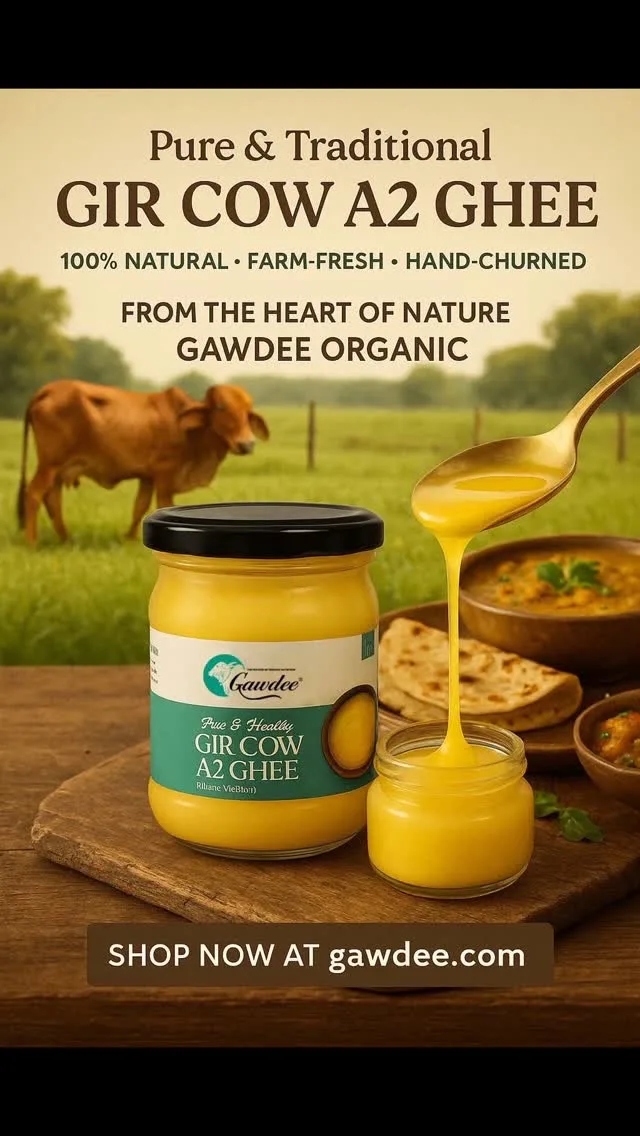 ✨ From the heart of nature to your home!
Introducing our Pure & Traditional Gir Cow A2 Ghee – made from hand-churned Bilona method, sourced from free-grazing Gir cows 🐄

✅ 100% Natural
✅ Farm-Fresh Goodness
✅ Authentic Taste & Aroma

Every spoonful brings the richness of tradition, purity, and health to your kitchen.
Taste the difference. Live the tradition. 💛

🚚 Now delivering PAN India – order now on 👉 gawdee.com

🌿 #FromFarmToDoor #GirCowGhee #BilonaGhee #GawdeeOrganic

#GirCowGhee #A2Ghee #BilonaGhee #OrganicGhee #DesiGhee 
#PureGhee #HandChurnedGhee #HealthyLiving #GheeForHealth 
#FarmFresh #DesiSwag #AyurvedicGhee #IndianSuperfood 
#FromFarmToDoor #GheeIndia #CowGhee #ClarifiedButter 
#GheeLovers #PureDesiGhee #DesiCowGhee #ShopOrganic 
#NaturalGhee #GheeBenefits #OrganicLifestyle #GawdeeOrganic